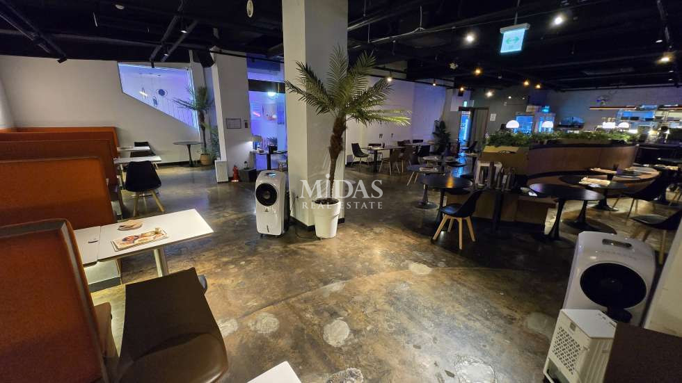 서울 강남구 신사동 신사동상가임대 가로수길 메인상권 인테리어 굿 월세 매물번호 11040 사진 13