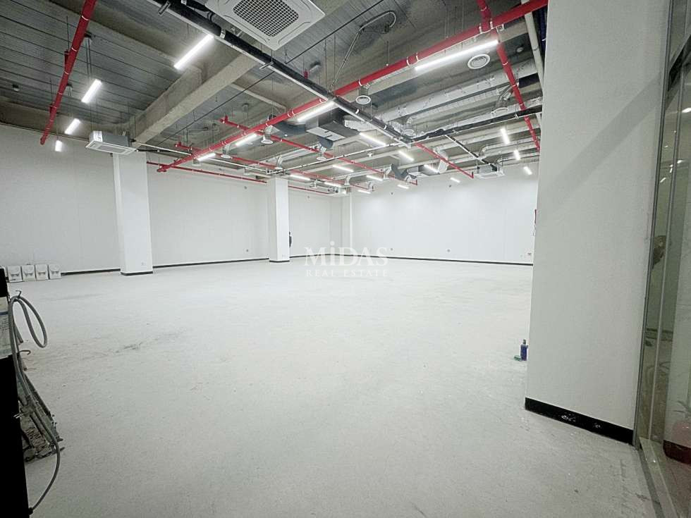 서울 강남구 역삼동 765-17 한티역 층고5M 지하2층 월세 매물번호 10929 사진 4